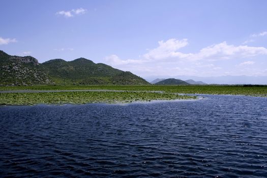 Idyllic panoramic picture of european lake with water lilies near the mountains