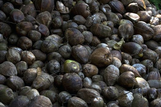 Background picture of tropical nuts