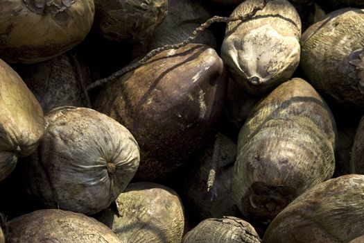 Group of several huge nuts closely