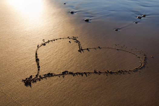 Heard drawn in the sand on the atlantic coast