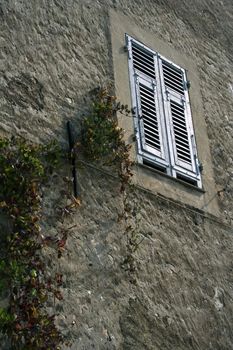 Window in the medieval house with the folwers growing on the wall
