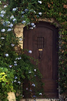 Rural door with the growing ivy and flowers