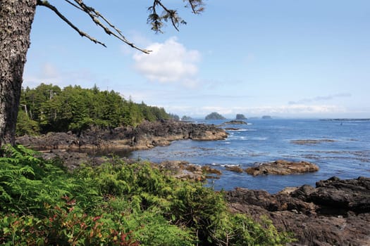 The Wild Pacific Trail located in the District of Ucluelet with the rugged cliffs and shoreline of the westcoast of Vancouver Island, Canada.

