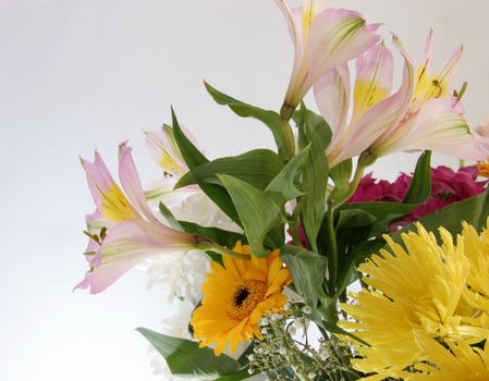 beautiful vibrant cut flowers in a bouquet