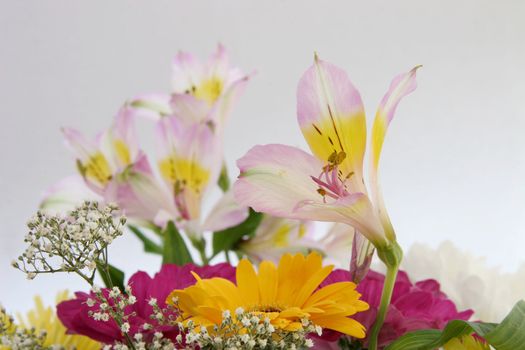 beautiful vibrant cut flowers in a bouquet