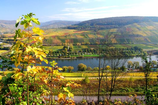 Indian Summer an der Mosel
