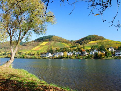 Bullay an der Mosel
