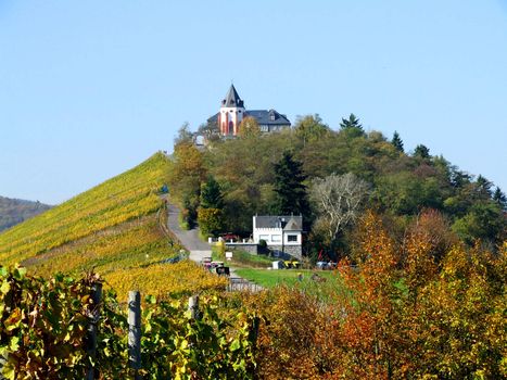 Pündericher Marienburg, Weinlage und Burg