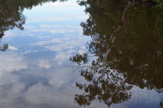 Reflections of trees and a cloudy sky in a river at Tewantin on Queensland's Sunshine Coast.