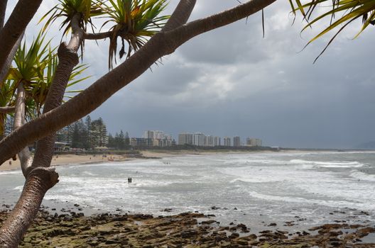 Alexandra Headlands surfing beach on Queensland's Sunshine Coast. Pandanus palm brackets the photo on the left.