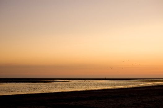 Beach and seagulls in sunset colors