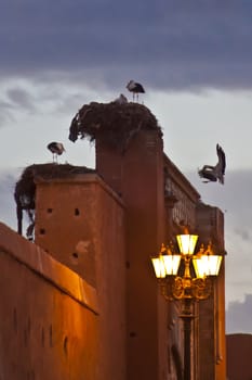 Marrakesh's kasbah entrance with the storks nesting on the wall.