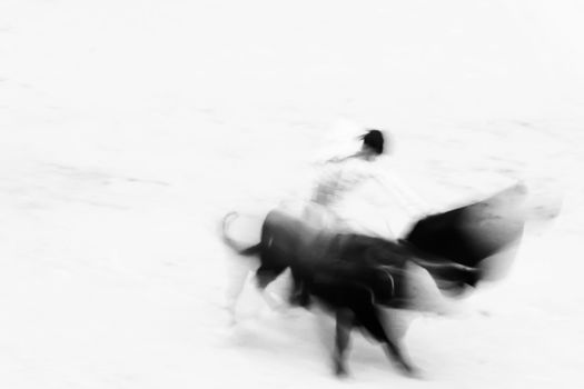 Bullfighting in Arena de Torros in Madrid