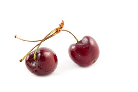 Two cherries against white background