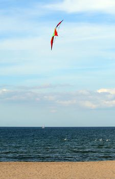 Colorful flying kite over the beach
