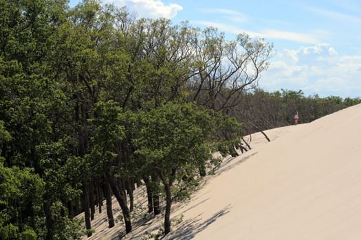 Moving sand dunes are destroying the forests at Leba - Poland