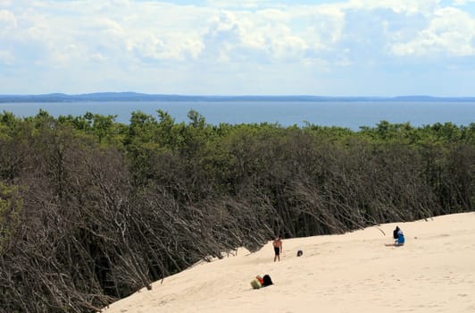 Moving sand dunes are destroying the forests at Leba - Poland