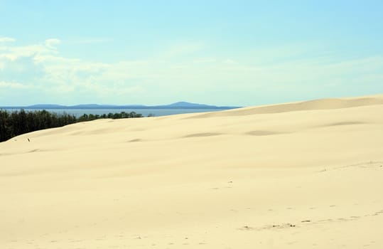 Landscape with sand dunes, forest and the sea at Leba - Poland