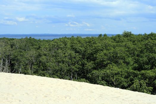 Landscape with sand dunes, forest and the sea at Leba - Poland
