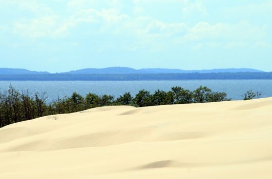 Landscape with sand dunes, forest and the sea at Leba - Poland
