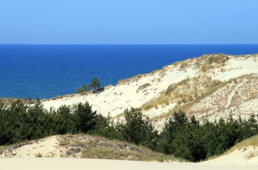Landscape with sand dunes, forest and the sea at Leba - Poland

