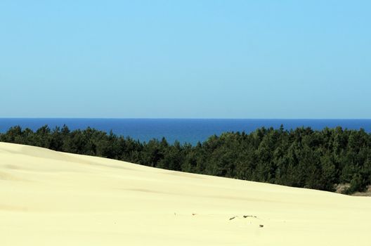 Landscape with sand dunes, forest and the sea at Leba - Poland
