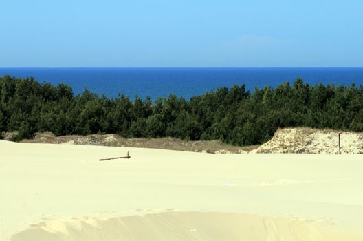 Landscape with sand dunes, forest and the sea at Leba - Poland
