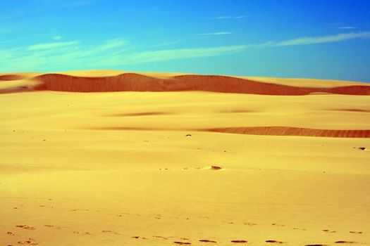 Desert landscape with sand dunes at Leba - Poland
