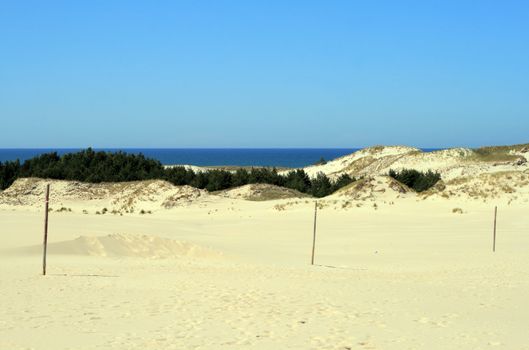 Landscape with sand dunes, forest and the sea at Leba - Poland