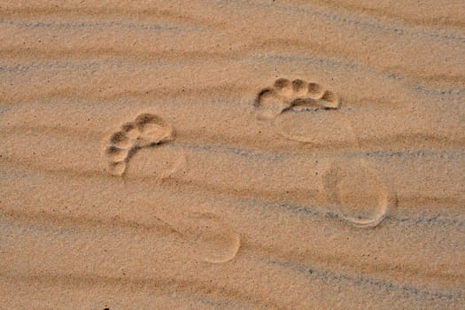 Footprints on the rippled sand at the beach
