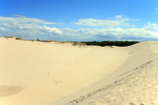 Landscape at the sand dunes at Leba - Poland
