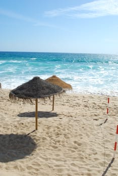 beautiful beach scene with coconuts and relaxing area