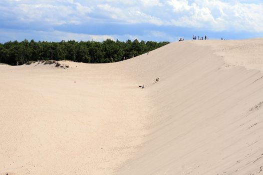 Landscape at the sand dunes at Leba - Poland
