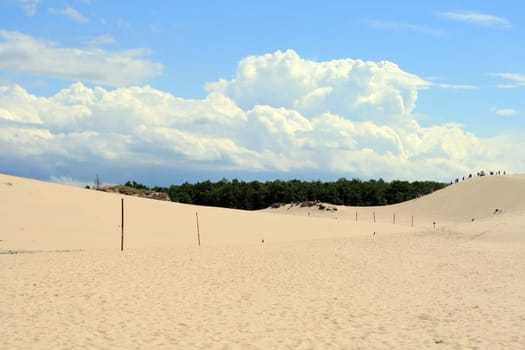 Landscape at the sand dunes at Leba - Poland
