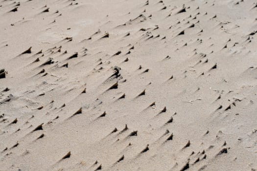 Natural sand pattern on the beach, caused by the wind
