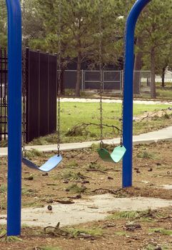 Swings at a abandoned playground around pine trees