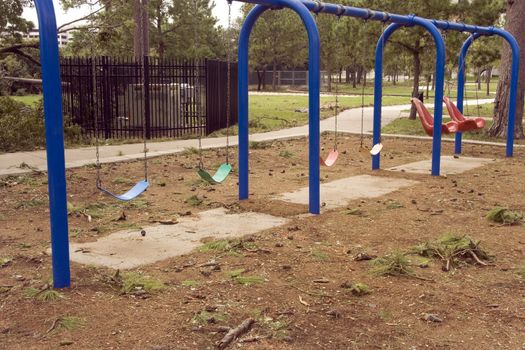 Swings at a abandoned playground around pine trees