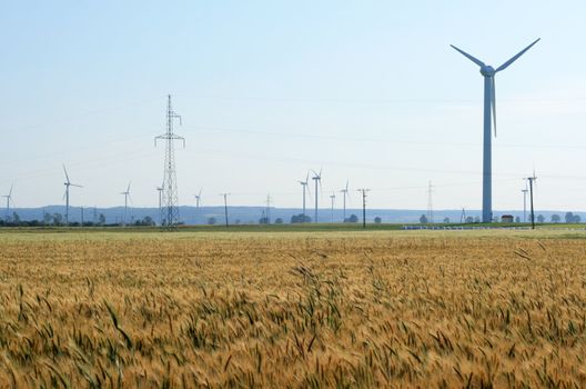 Summer landscape with rye field, wind turbines and electric poles
