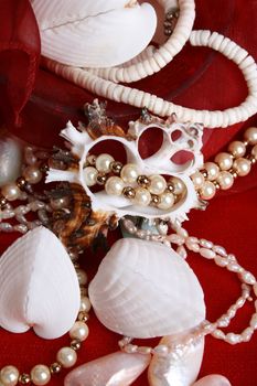 Variety of seashells and jewelery on red background