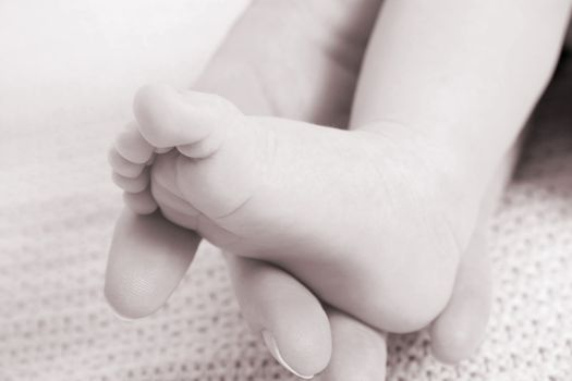 Foot of a baby in his mothers hand
