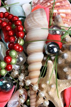 Variety of seashells and jewelery on red background