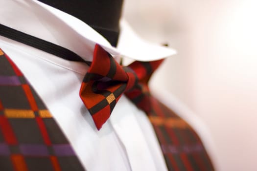 Elegance red tie on man's mannequin