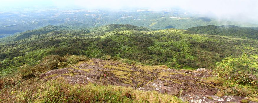 View of the Puerto Rican landscape from El Yunque Peak.