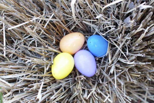 Easter eggs in a nest make a wonderful decoration image.