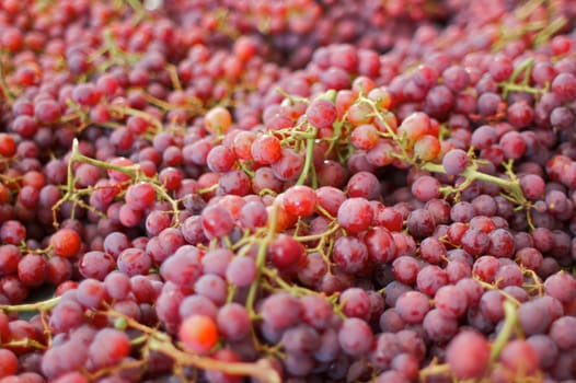 a sea of red grapes at the Farmer's market