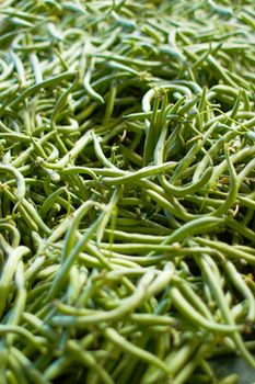 a sea of green beans at the Farmer's market