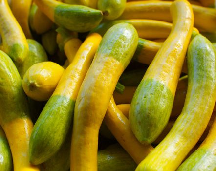 a sea of green and yellow squash at the Farmer's market