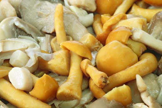 Variety mushrooms ready to be cooked