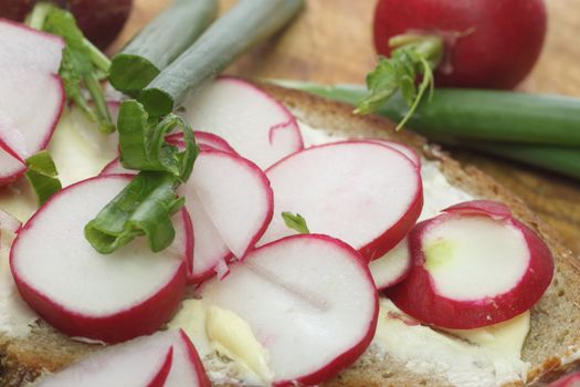 Fresh radish bread with spring leek as background