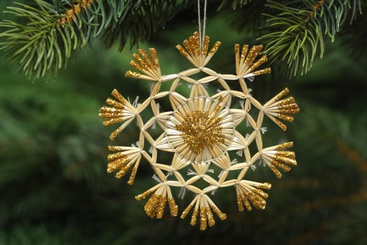 Decorative straw star on green background